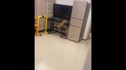 temp