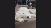 temp