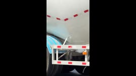 Old Lady Leads Reluctant Dog