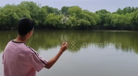 Boy Skips Stones Across Water