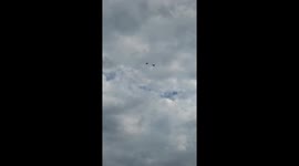 Birds challenge drone in dramatic mid-air standoff in China