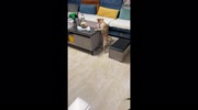 temp