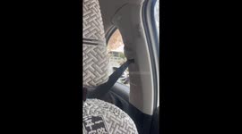 A Man Rides Motorcycle with His Dog