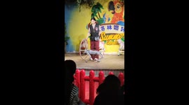 Robot Dogs Perform Bouncing