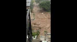 Dog playfully runs through floodwaters in Nayarit, Mexico