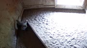 temp