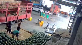 Man Hit on Head by Watermelon