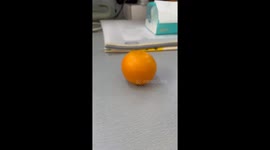 The Orange Spins Like a Top