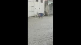 Walmart trolley pushed by raging floodwater perfectly slots into another