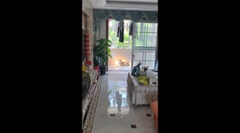 Dog Bathed in Divine Light at Dawn