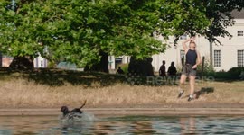 Dogs cool off in pond as UK hit with 3rd heatwave this summer