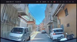 Shiba Inu Stands on Street Lamp