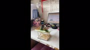 temp