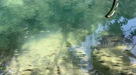 Crystal Clear Waters at Xiaoqikong