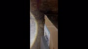 temp