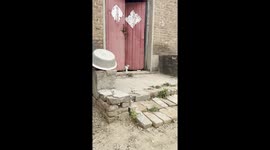 Kitten Resembles Its Mother