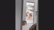 temp