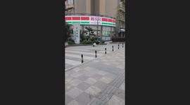 Border Collie Skates With Basin