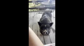 Just enjoying my childfree afternoon snack.