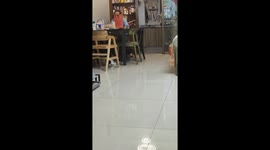 Bomei Leaps Into the Air