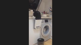 Cat Tips Over Trash Can