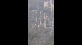 Monkey Leaps Down Mountain