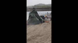Picnic Setup Disrupted by Wind