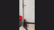 temp