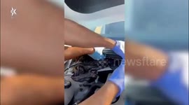 Israel: M16 Rifle Found Hidden in Car Engine During Police Operation Near Zarzir