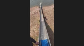 Dog Slips into Fishing Boat Chute