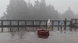 Children Play Happily In the Rain