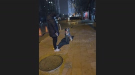 The Dog Hug With Its Friends