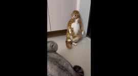 A Jealous Silver Gradient