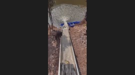 Dog Slips into Fishing Boat Chute