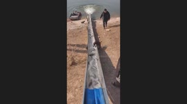 Dog Slips into Fishing Boat Chute