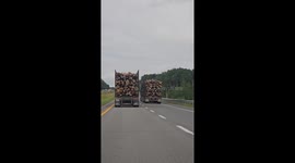 It's a référence of Final Destination Movie about Milenials that arent scare to die. Its about the scene in the movie where the logs truck uncharge the load on the high way and create a car crash