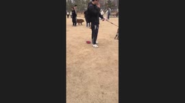 When You Just Want to Fit in