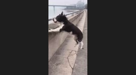 How to Make an Impression