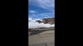 Culpeo spotted along snowy roadside in Maule, Chile