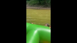 Float trip turns hilarious in Missouri when kids lose It over a floating stick