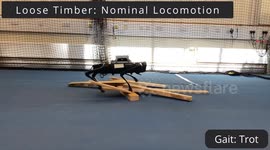 UK: AI Robot Navigating Rough Terrain Using Animal-Inspired Gait Switching