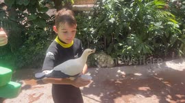 A young child makes friends with a group of exotic birds on his shoulder