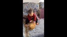The Baby Tries to Massage the Cat