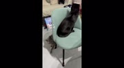 temp