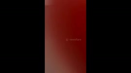 A Cat Climbs up the Wall