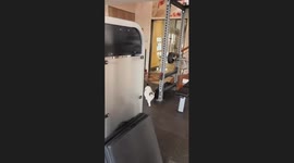 Cat Scratches The Owner