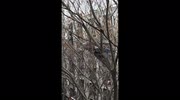 temp