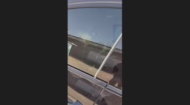 The Labrador Seats in the Driver Side