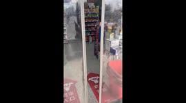 The Cat Steals Sausage