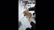 temp